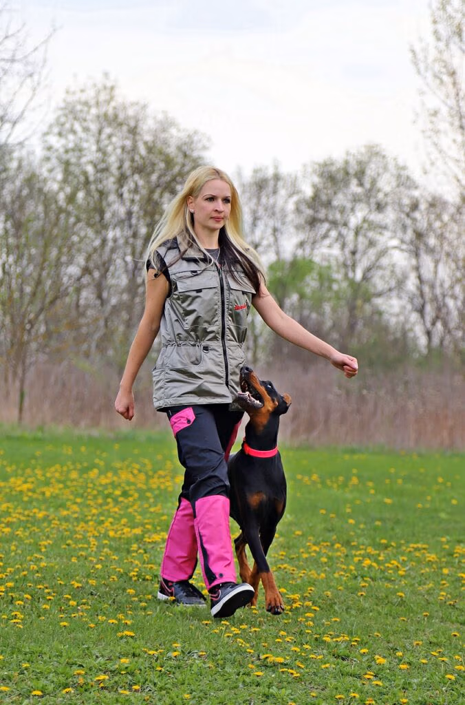 doberman, dog, farmer