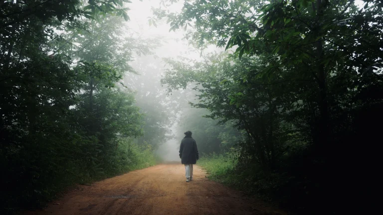 A lone walker on a misty forest path at dawn, walking on in freedom