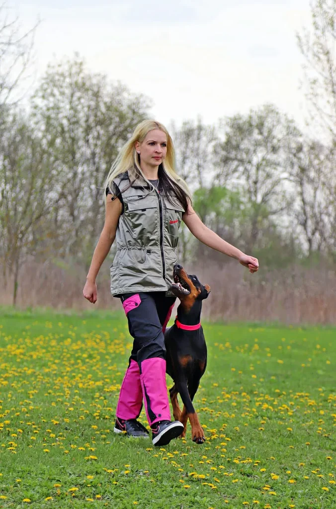 doberman, dog, farmer