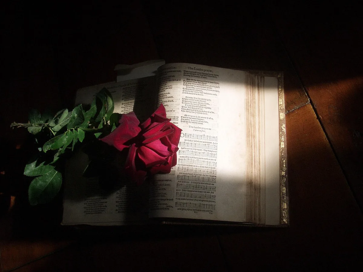 “Seek and you will find” – please read these Scriptures in context.
