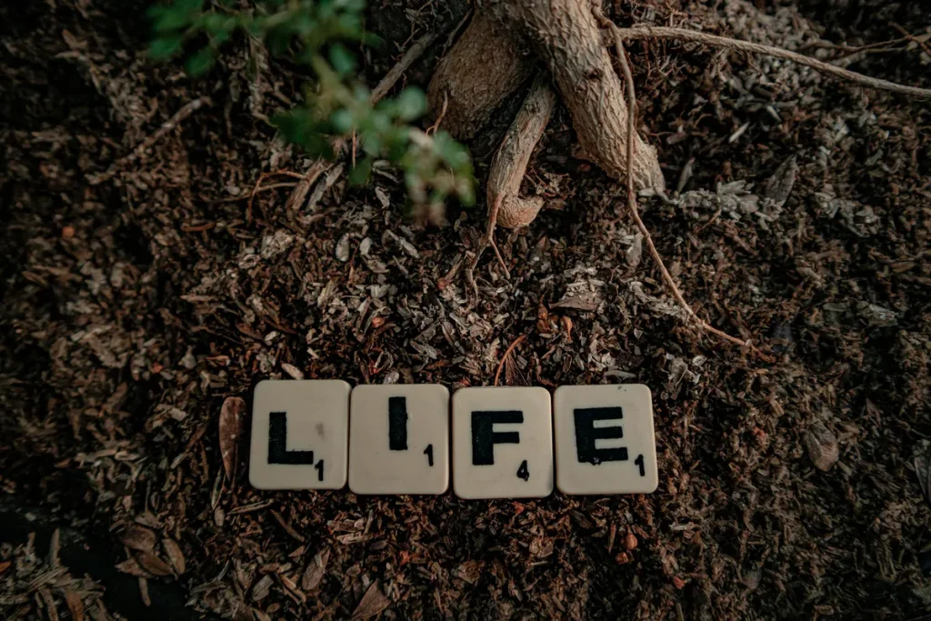 Scrabble tiles spelling 'life' placed on soil with tree roots visible, symbolizing growth and nature.